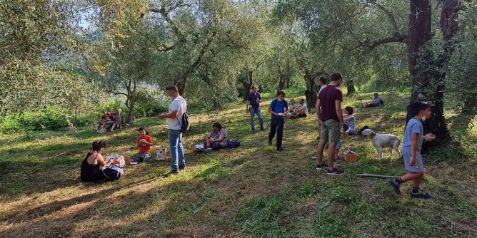 Merenda tra gli ulivi in 8 città sarde