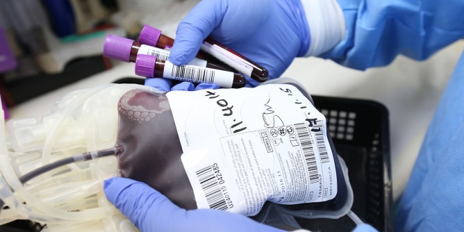 Sabato raccolta sangue ad Alghero