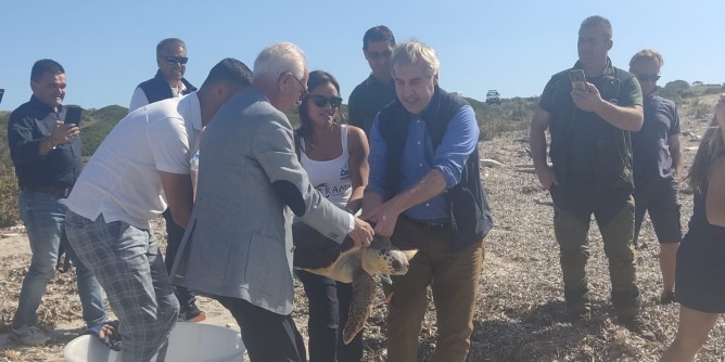 Dopo un anno liberata tartaruga all´Asinara
