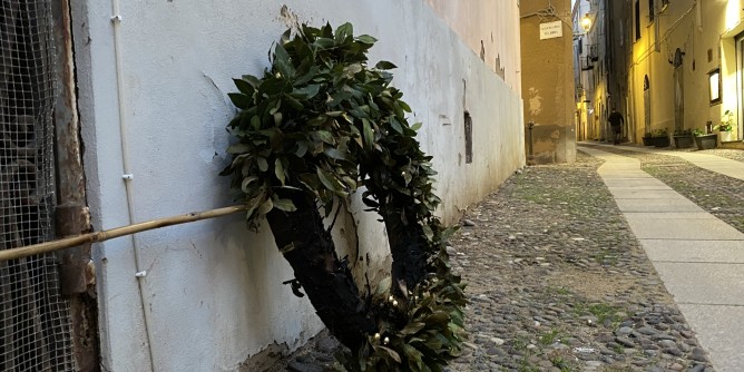 Alghero: Corona d´<i>Alloro</i> in fiamme