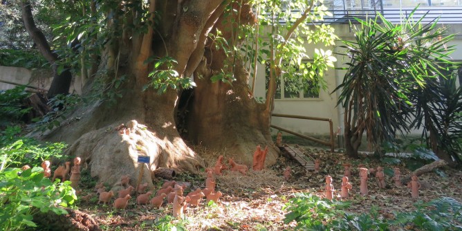 E´ pronto il presepe dell´Orto Botanico