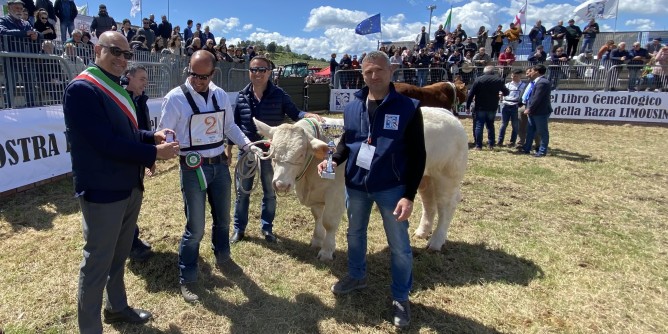 Mostra Bovino: i vincitori ad Ozieri