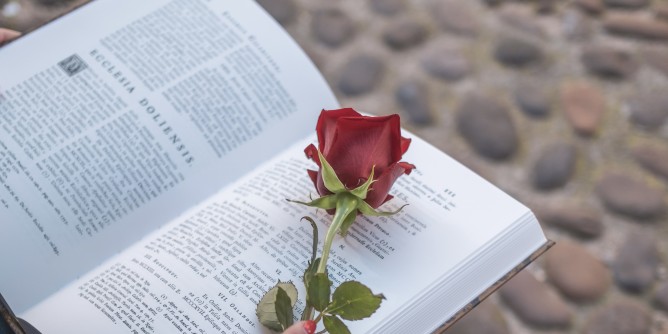 Vetrine da leggere in Centro storico