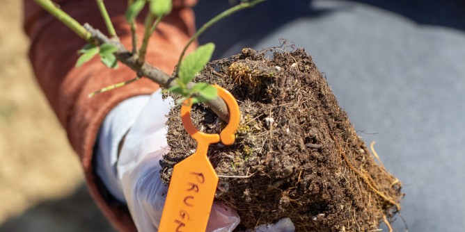 A Siniscola la prima oasi della biodiversità