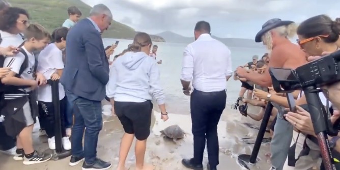 Alghero, la tartaruga <i>Agnese</i> torna in mare