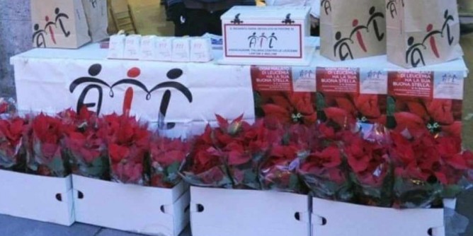 Stelle di Natale <i>AIL</i> ad Alghero