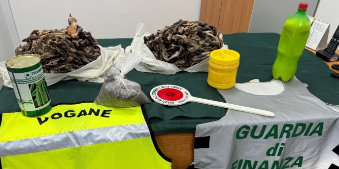 Carne, latticini e semi sequestrati in aeroporto