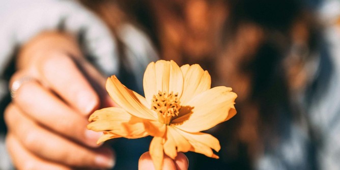 Giornata del Sollievo: il diritto alle cure palliative