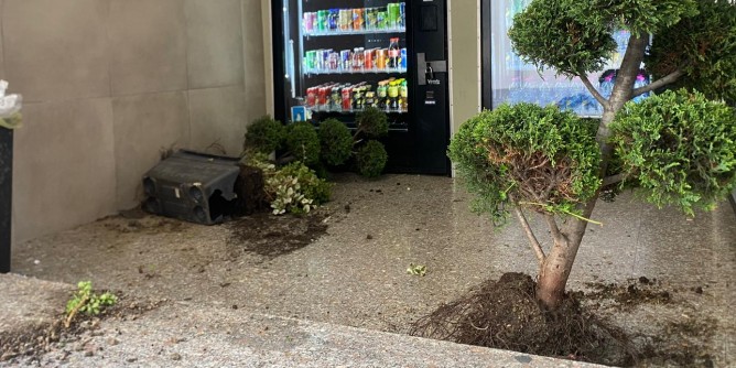 Vandali scatenati in centro ad Alghero