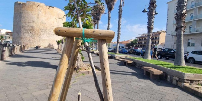 Devastate le <i>Phytolacche</i>, scempio sul lungomare di Alghero