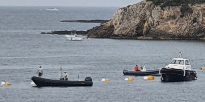 <b>Boe</b> da Punta Negra all'Olandese. Pais: «porcata democratica»
