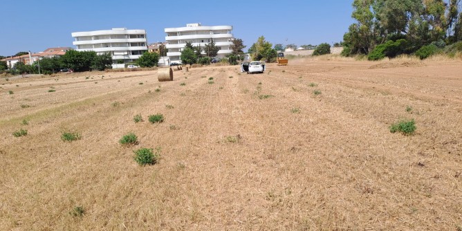 Viale 1° Maggio: 400 parcheggi entro pochi giorni