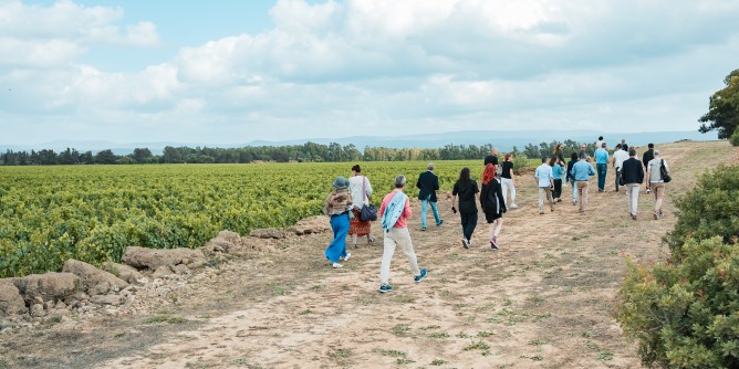 Degustazioni e Wine Bus e: arriva l´Alguer Wine Wee