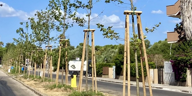 «Alghero sarà sempre più verde»