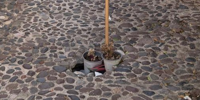Degrado in centro: ratti e blatte