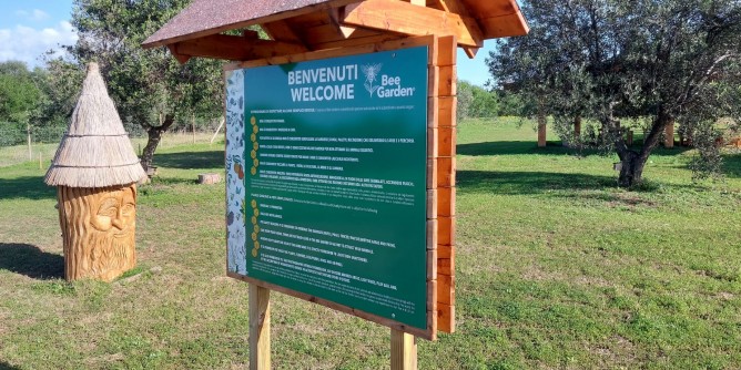 Regeneration Awards, vince Alghero