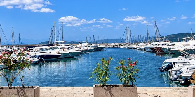«Più trasparenza dal Consorzio del Porto»