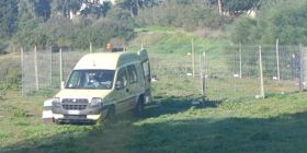 I cani disturbano e ne uccide 15