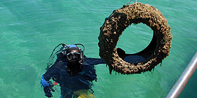 Cala Dragunara ripulita dallArea Marina 