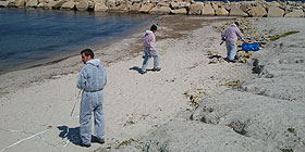 Disastro E.On: Renaredda ritorna accessibile