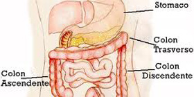 Tumore del colon: diagnosi precoce