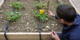 Educazione alimentare nelle scuole di Oristano