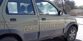 Forestale: controlli nei porti sardi