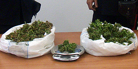 Spaccio a Nuoro, sequestrata marijuana