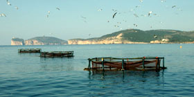 Pesca e Acquacoltura, conferenza a Cagliari