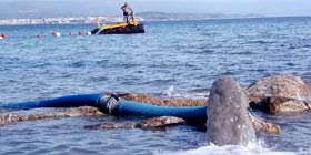 A Punta Negra tutto  pronto per il ripascimento