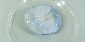 Mozzarella blu: nuovi casi nel Cagliaritano