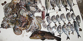 Pesca notturna a Porto Conte: multe