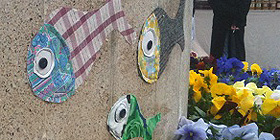 Invasione di pesci in centro| Foto