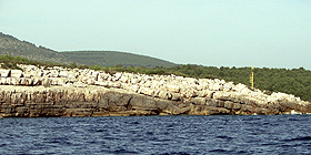 Coast Day 2009, c´ l´Area Marina