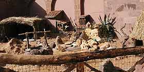 A Fertilia giorno dopo giorno “nasce” il Presepe