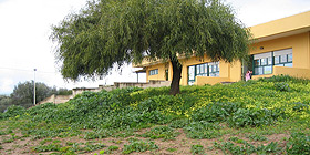 Protestano i genitori dei piccoli iscritti alla scuola materna del Carmine