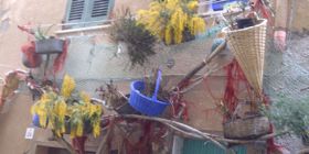 L´8 Marzo  alla finestra | Foto