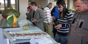 Eco-edilizia, i risultati ad Alghero