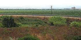 A S.M. La Palma si discute dei problemi dell’agro