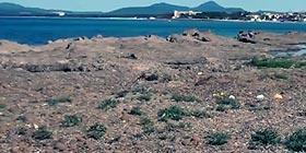 Posidonia, tavola rotonda ad Alghero