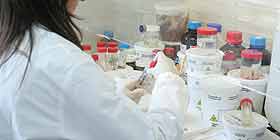 Farmaco doppio effetto: scoperta ricercatori di Cagliari