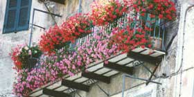 A Villanova il concorso per il miglior “Balcone Fiorito”