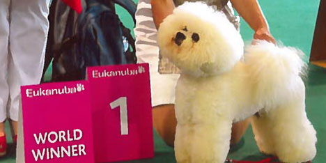 I’M Mason conquista Budapest