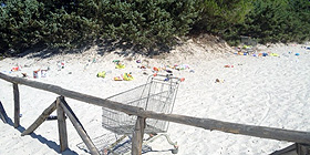 Barbari in azione a Maria Pia