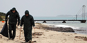 «Il pescato dell’Asinara si può mangiare»