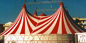 Niente animali al Circo: concentramento in Piazzale Segni