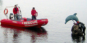 Ecco il delfino a Porto Torres | Foto