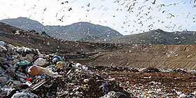 Rifiuti, rivolta in Sardegna di 38 comuni
