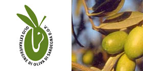 L'olio extravergine di oliva diventa DOP