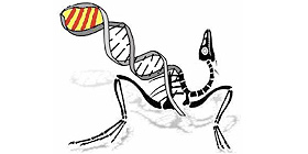 Ad Alghero il 3° Congresso di Biologia Evoluzionistica